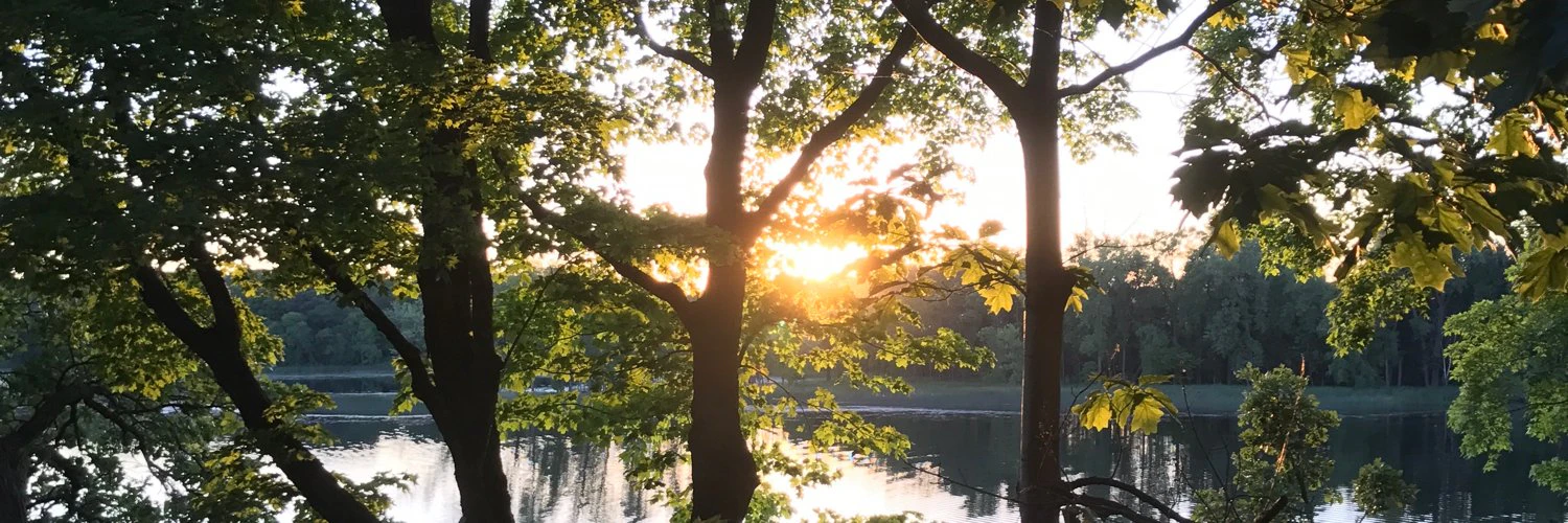 Lachlan Campbell cover