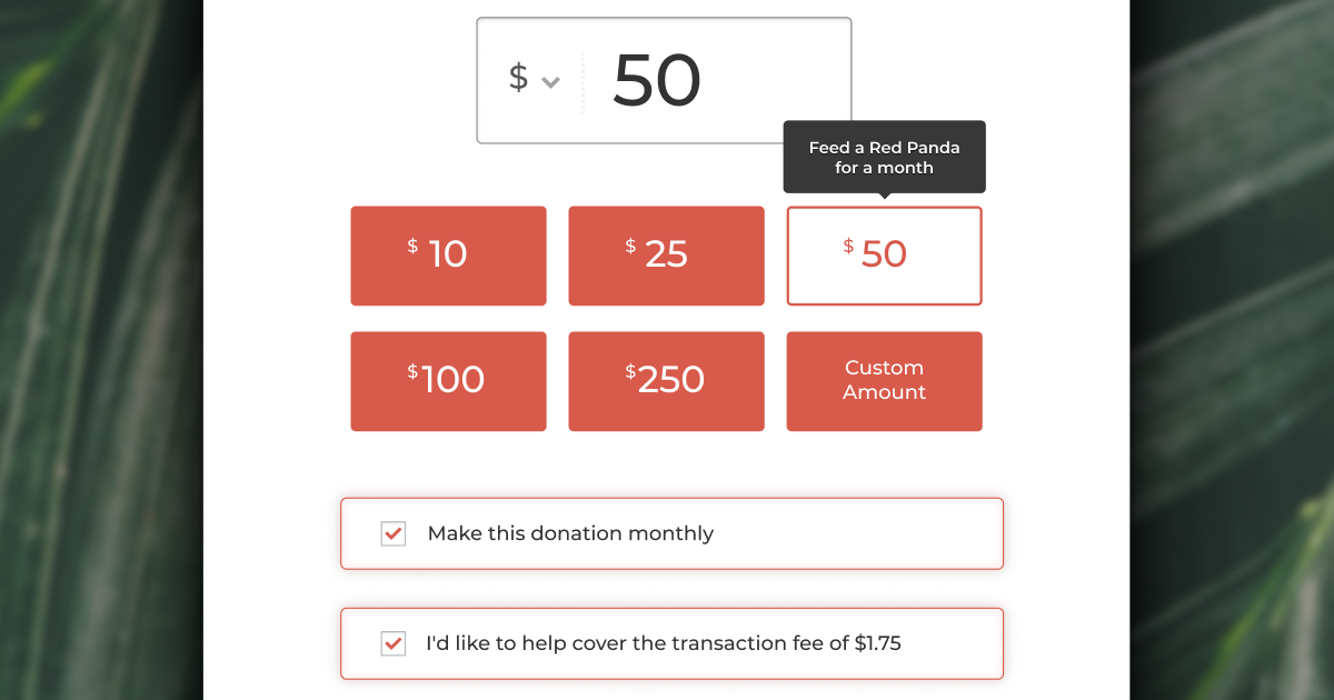 GiveWP gallery image
