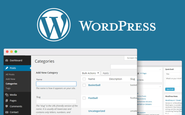 Become a WordPress Developer