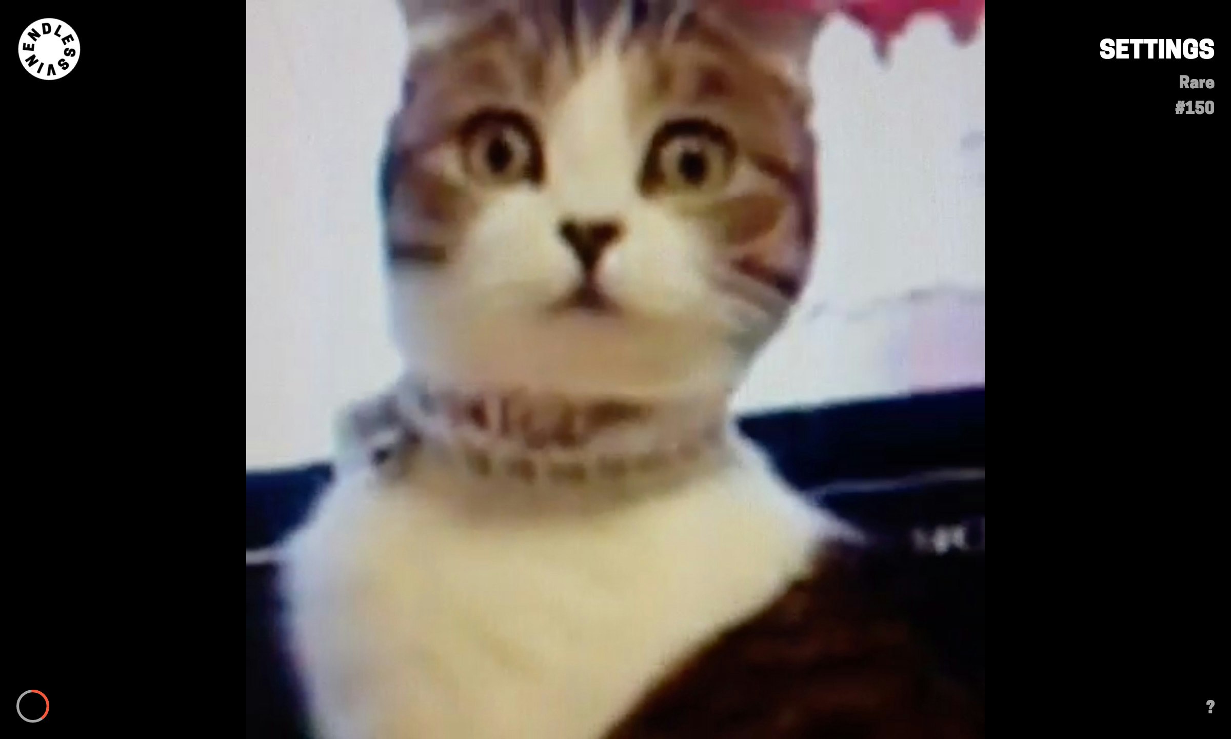 Endless Vine gallery image