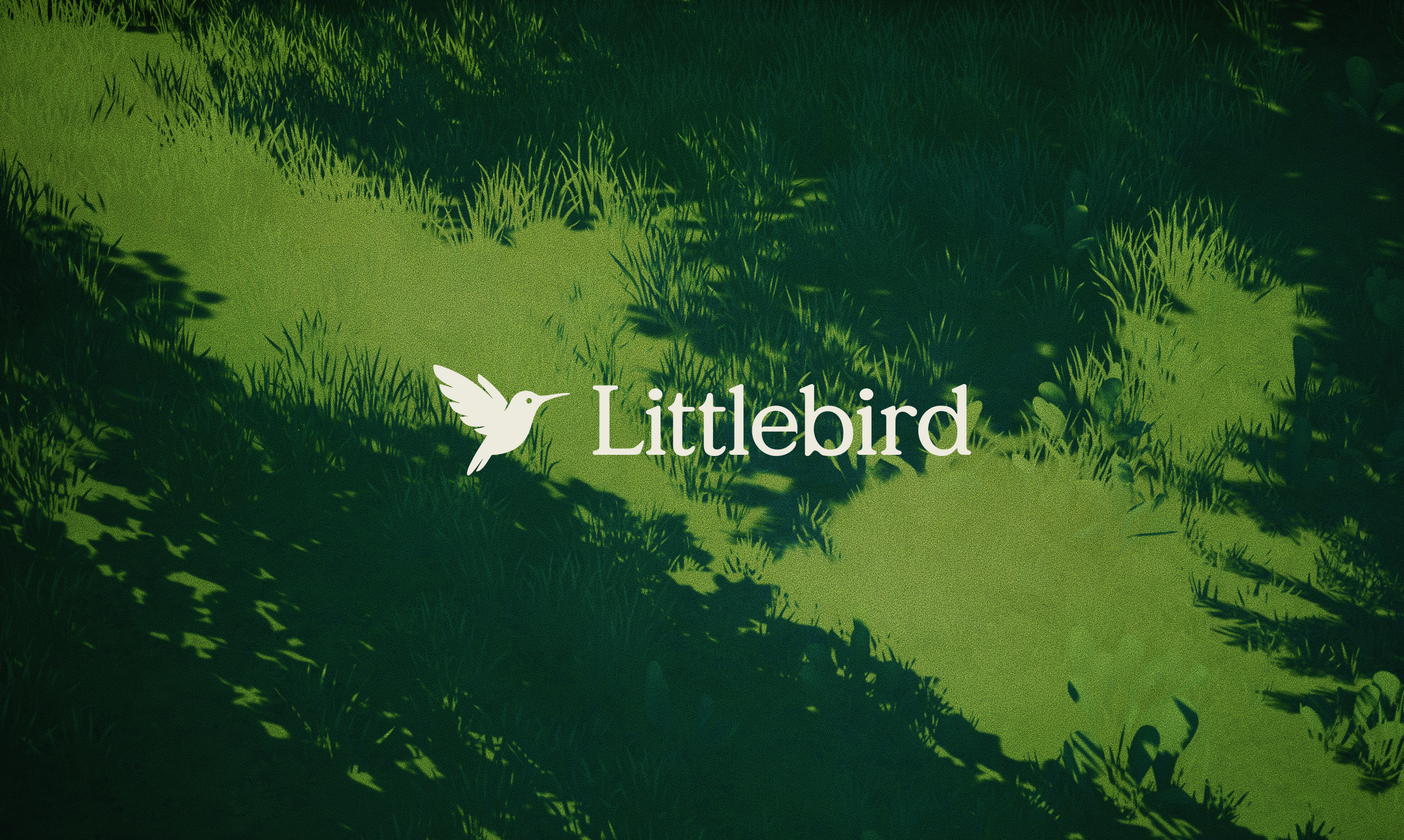 Littlebird gallery image