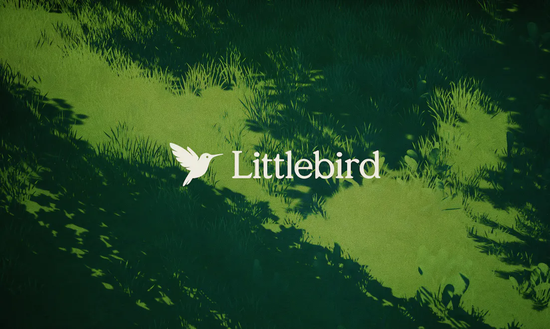 Littlebird screenshot 9