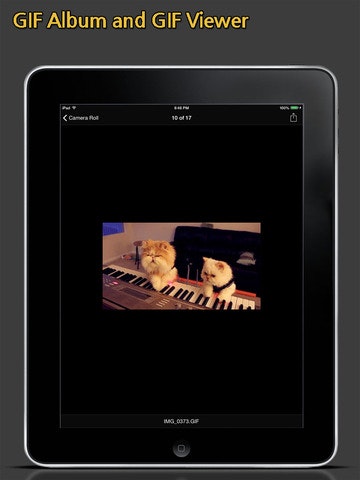 GIF Toaster for iOS gallery image