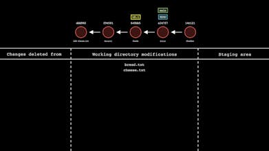 Git-Sim gallery image