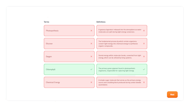 Hootly gallery image