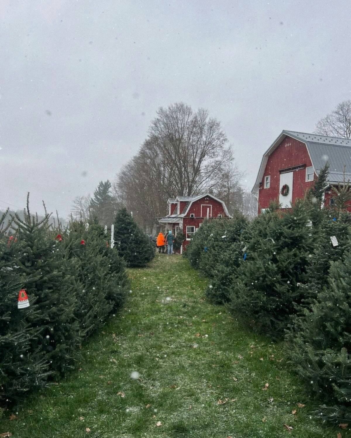 West Shore Apartments gallery image