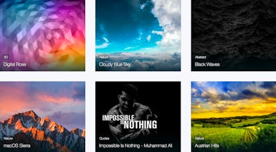 HD Wallpapers gallery image