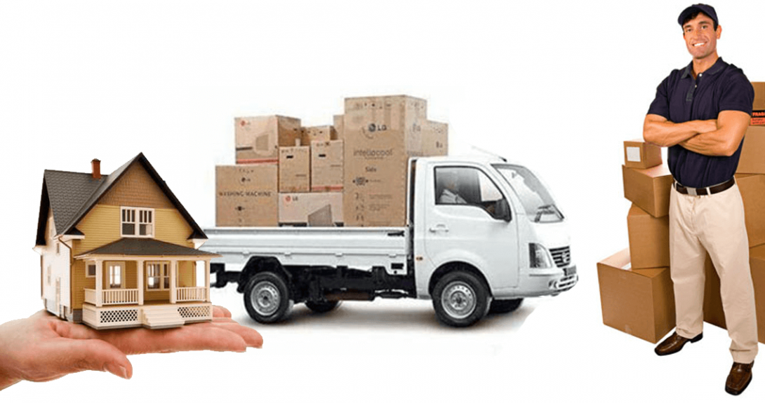 Noida packers and movers  gallery image