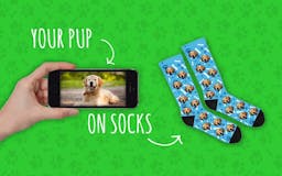 Pup Socks media 3
