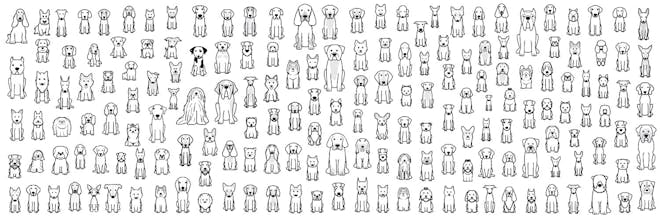 Dog Breed Cartoon gallery image