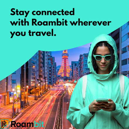 Roambit gallery image