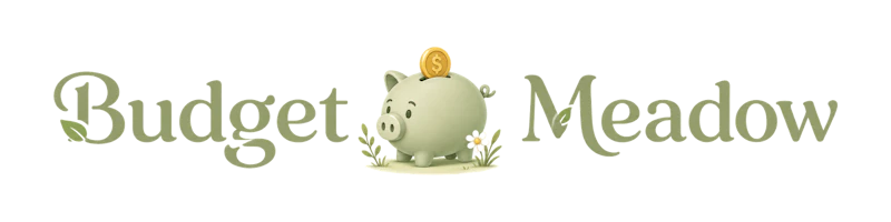 BudgetMeadow screenshot 1