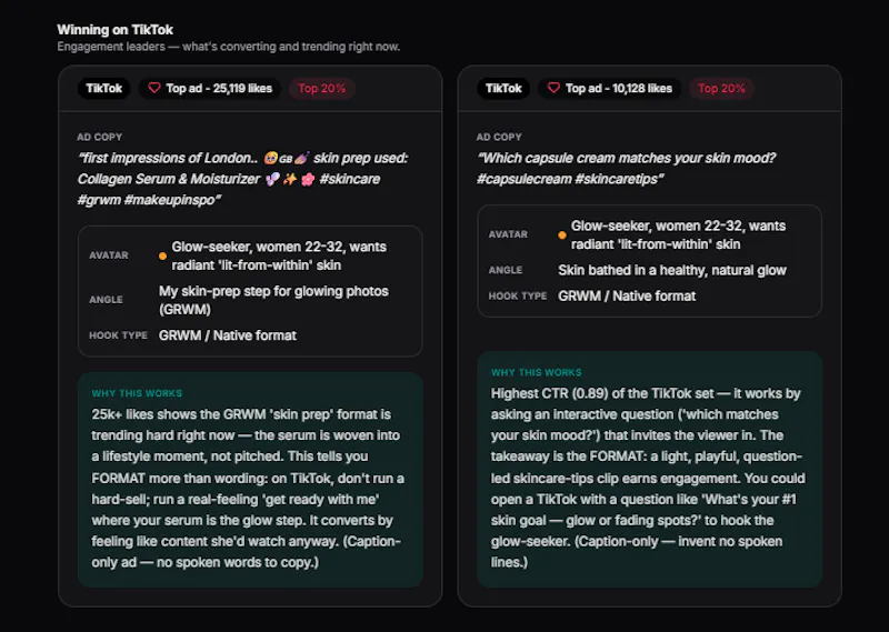 WinAds Pro screenshot 3