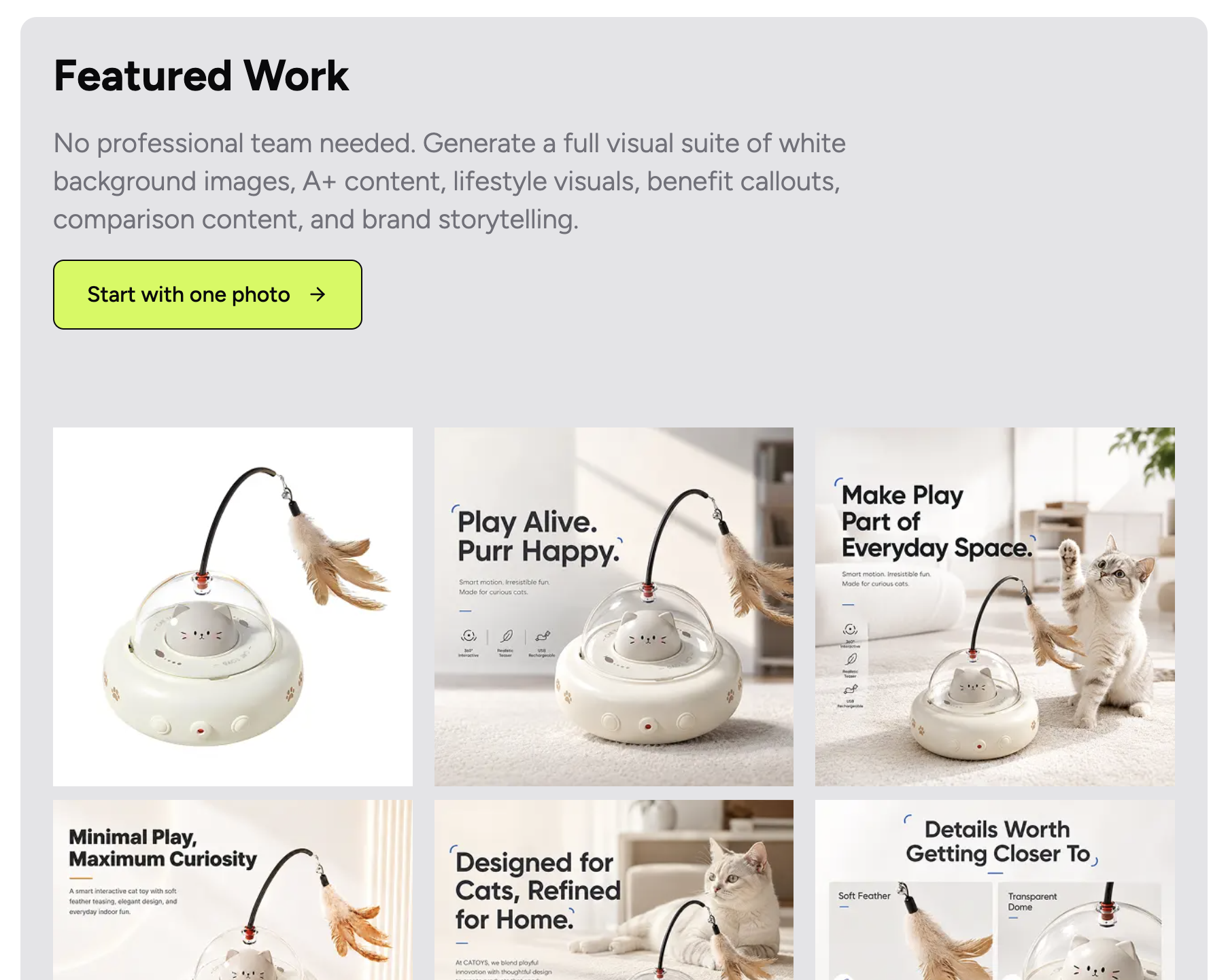 BeePOP gallery image