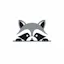 Activity Racoon