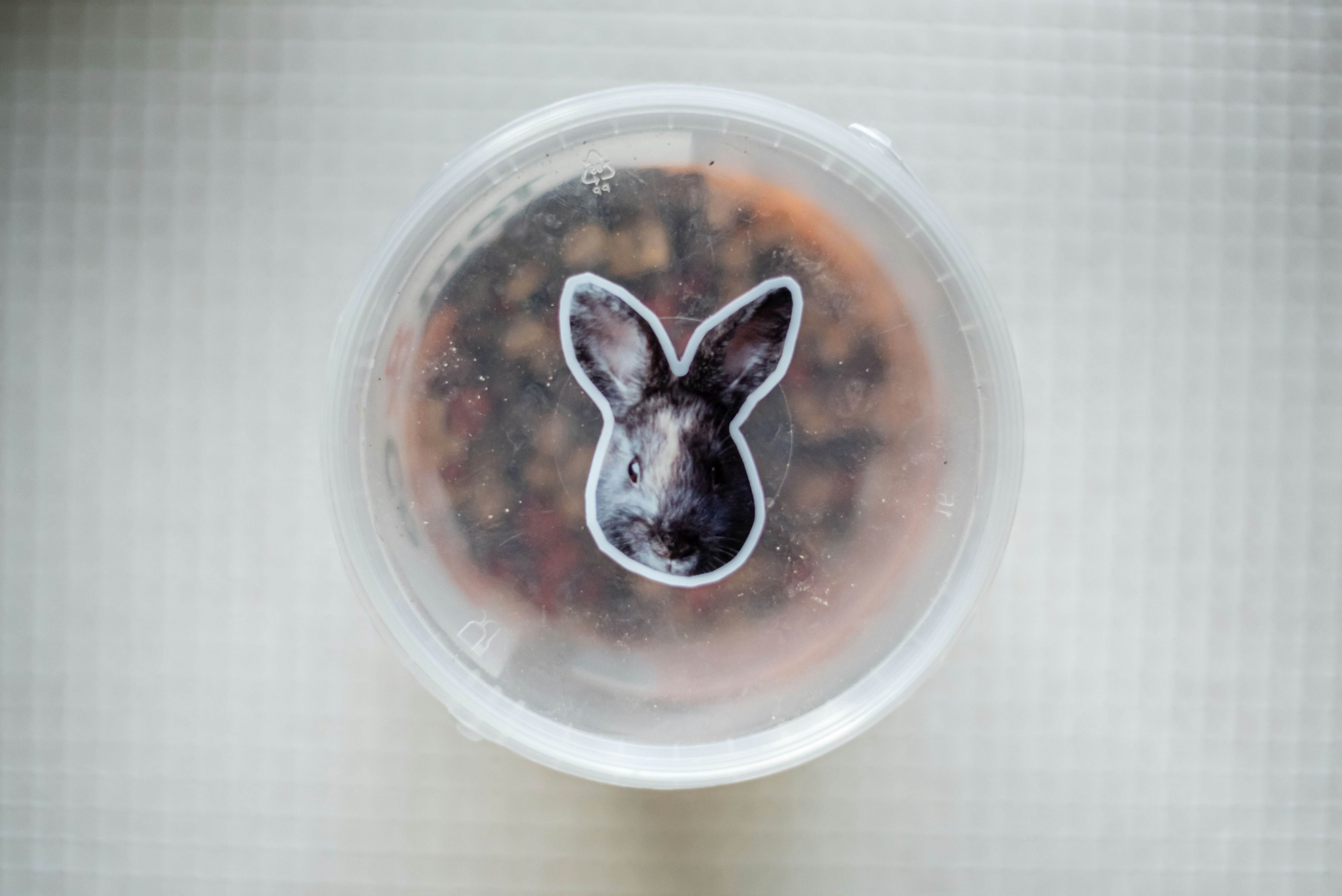 Sticker Pet gallery image