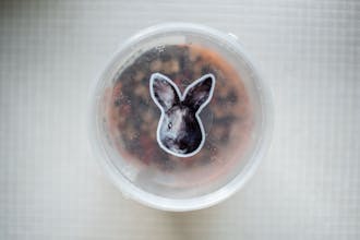 Sticker Pet gallery image