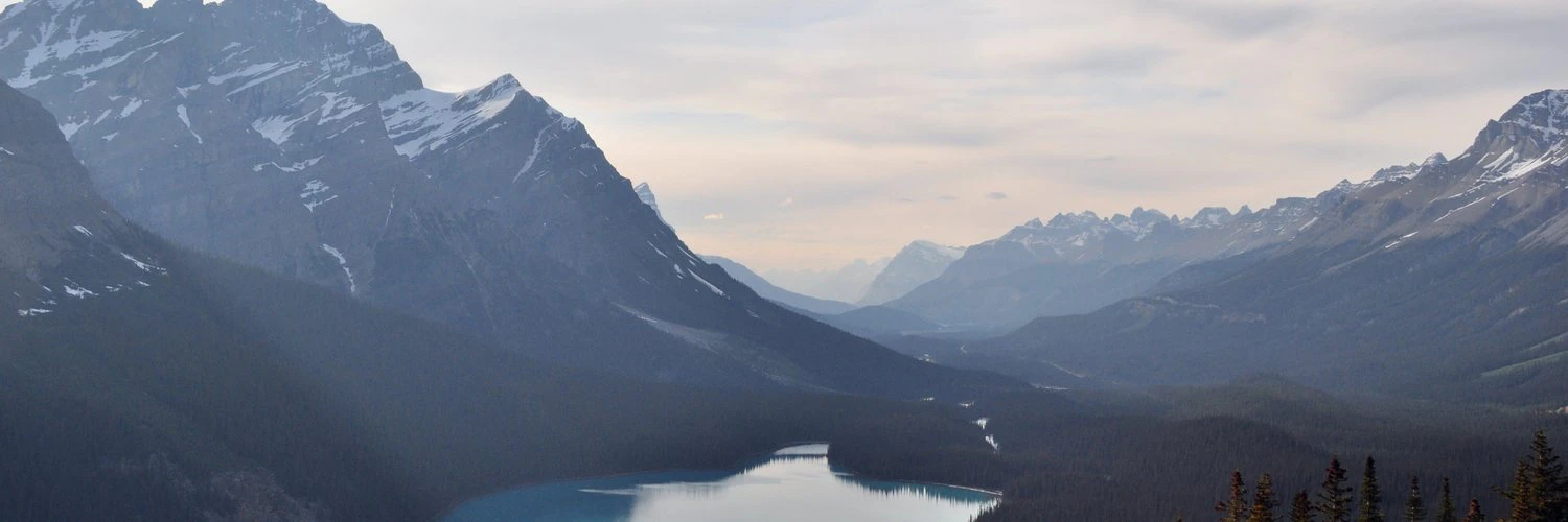 Asya Karapetyan cover