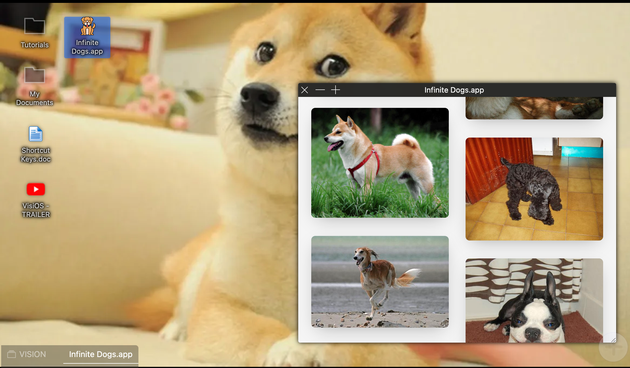 Visios - Tab/Bookmark Manager OS medya 10