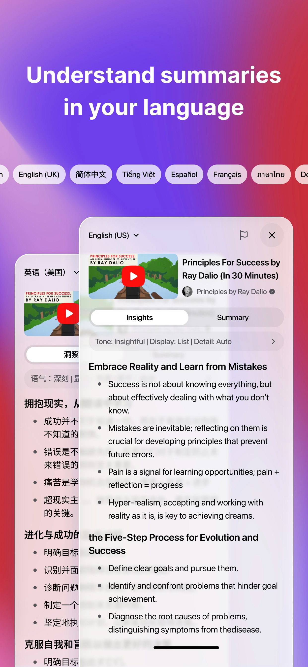 Tubewise: AI Summary & Insights gallery image