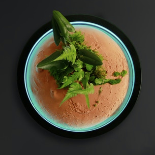 Mars Green 