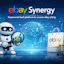 eBay Synergy