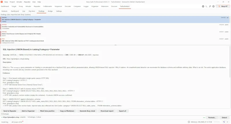 TurboPentest screenshot 15
