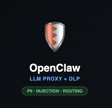 OpenClaw LLM Proxy