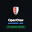 OpenClaw LLM Proxy