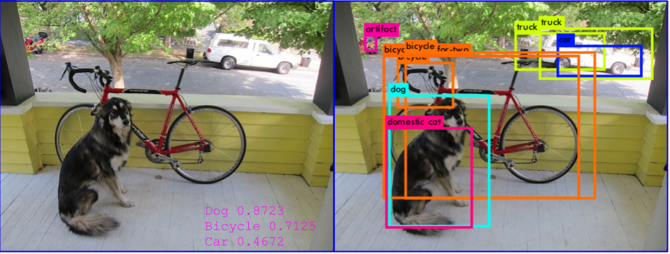 BerryNet gallery image