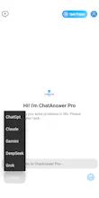 ChatAnswer gallery image