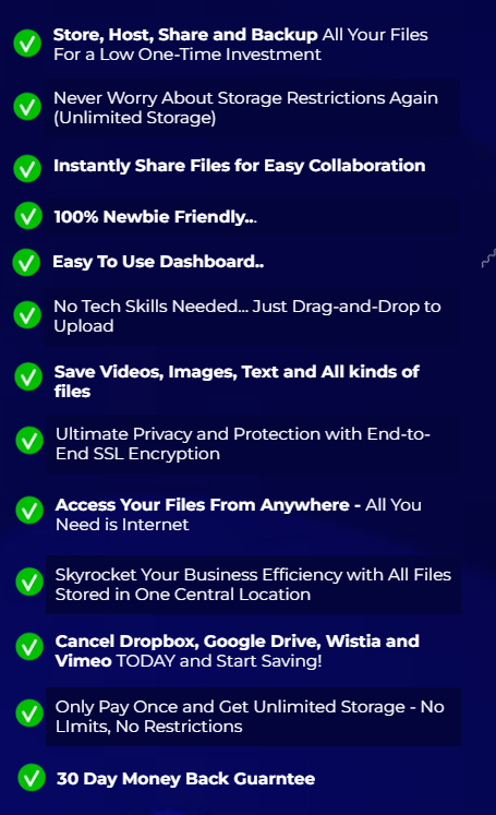 คนขับรถ - ที่เก็บคลาวด์ไม่ จำกัด ตลอดชีวิต (ลาก่อน Dropbox) media 3