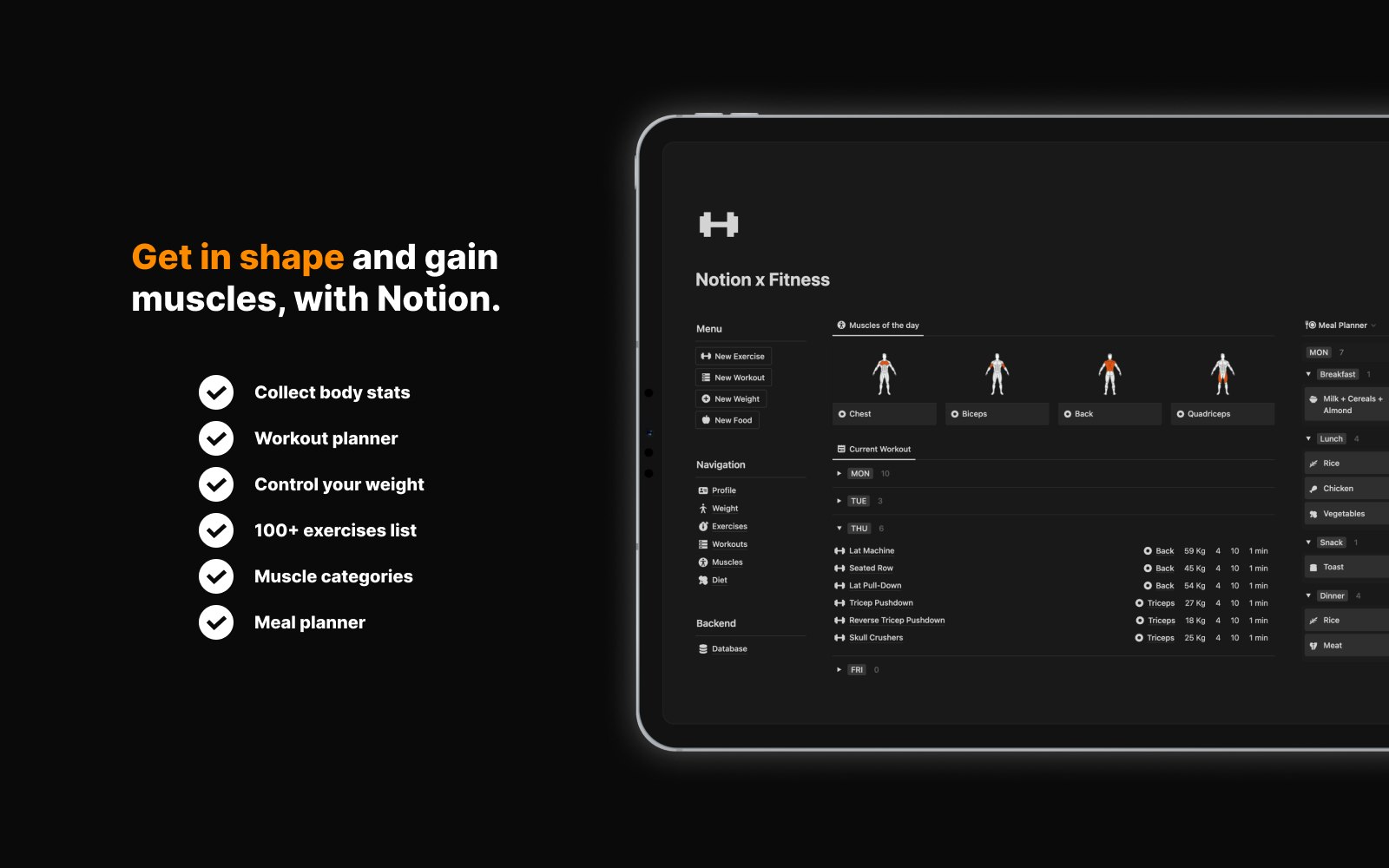 Notion x fitness media 3
