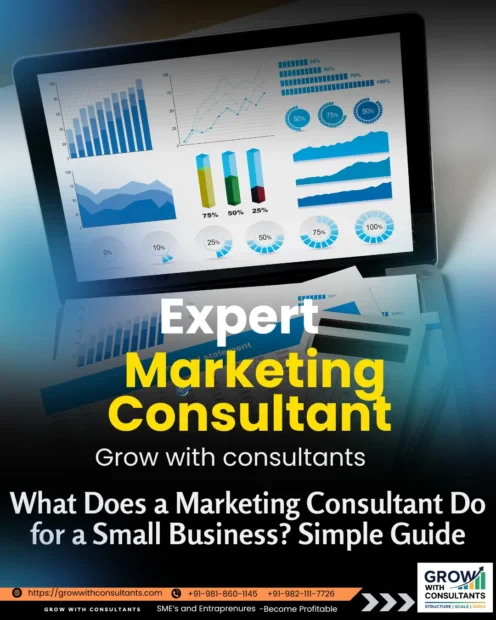 Business Growth Consultant India 截图