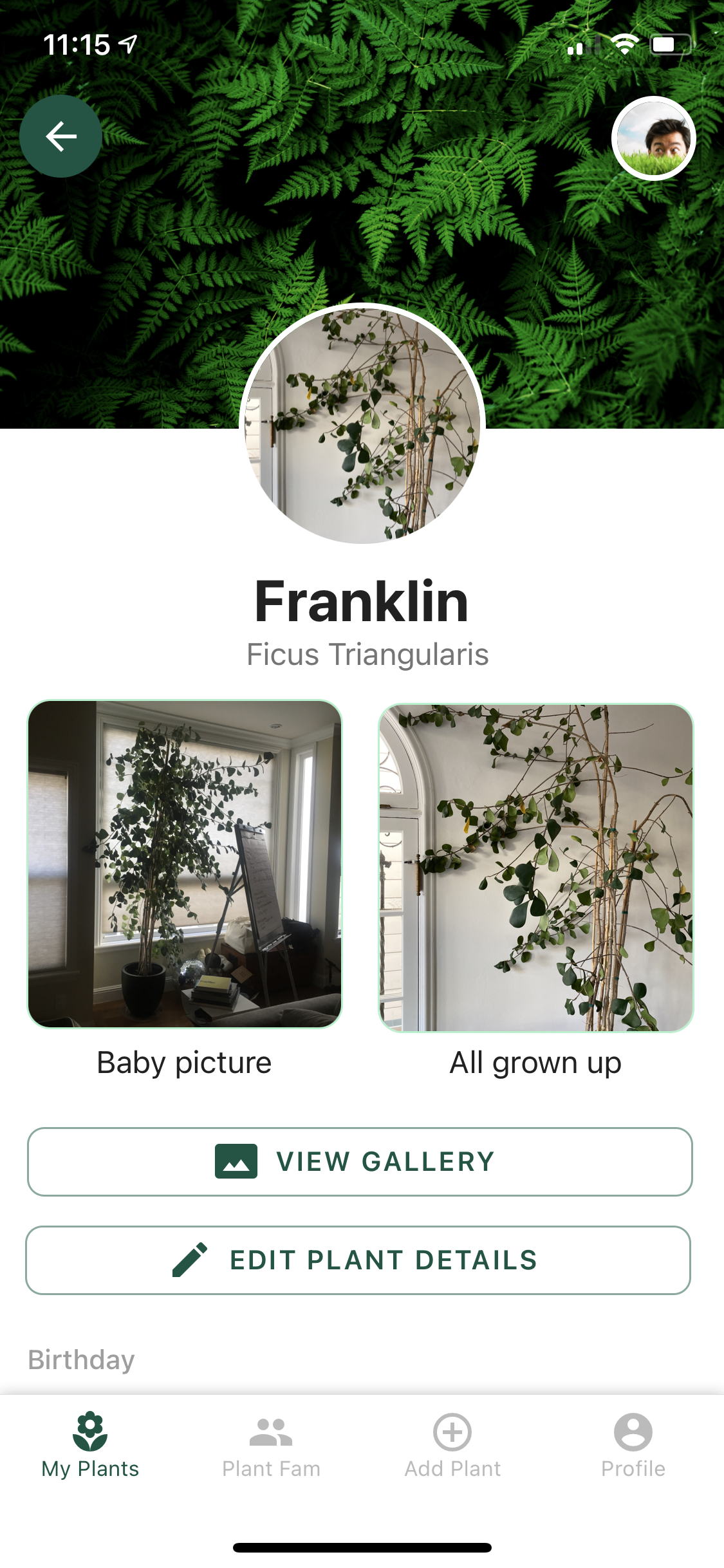 Plant Parenthood gallery image