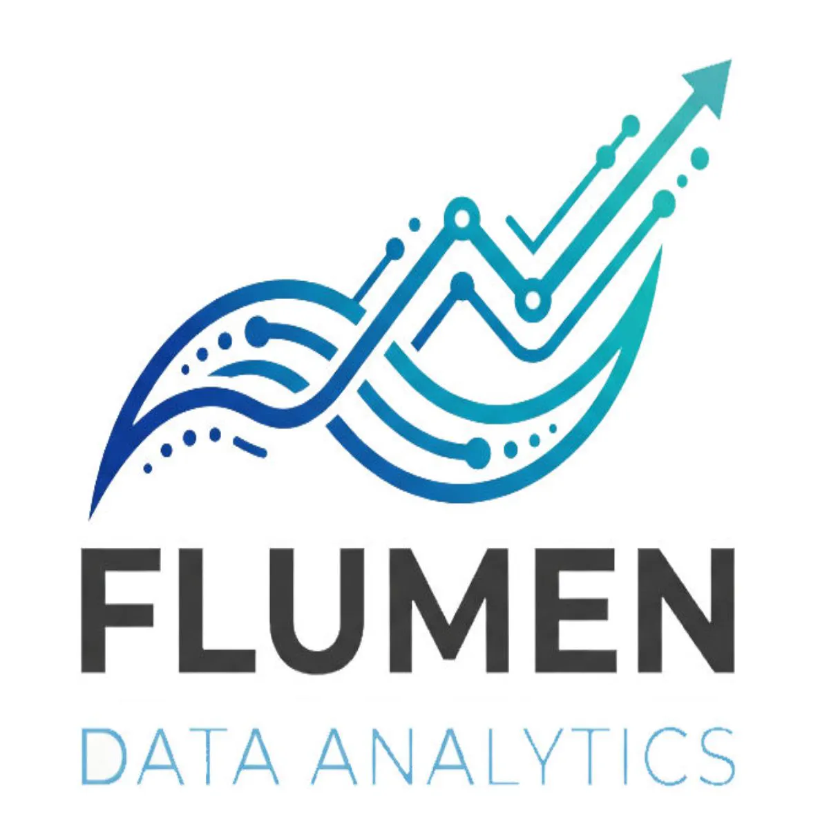 Flumen Data Analytics