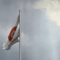 Online Flag Waver