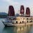 Azalea Cruise Lan Ha Bay 2 Days 1 Night