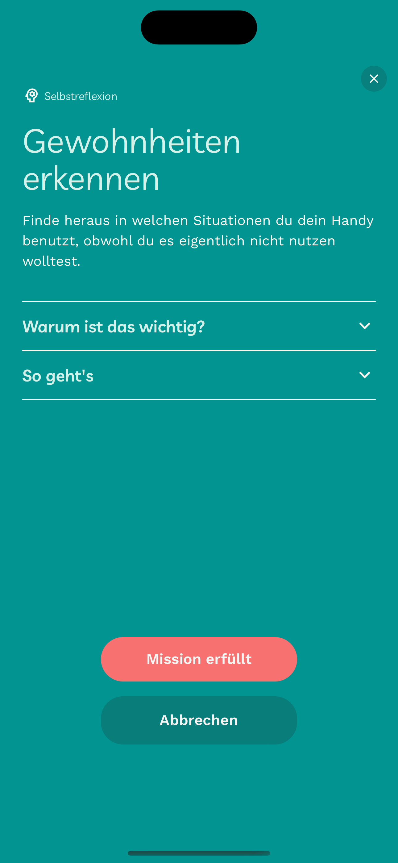 Entgiftung Medien 4
