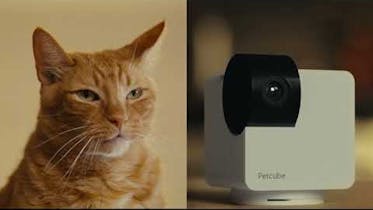Una telecamera per animali domestici elegante e raffinata con una visione rotante completa a 360 gradi.