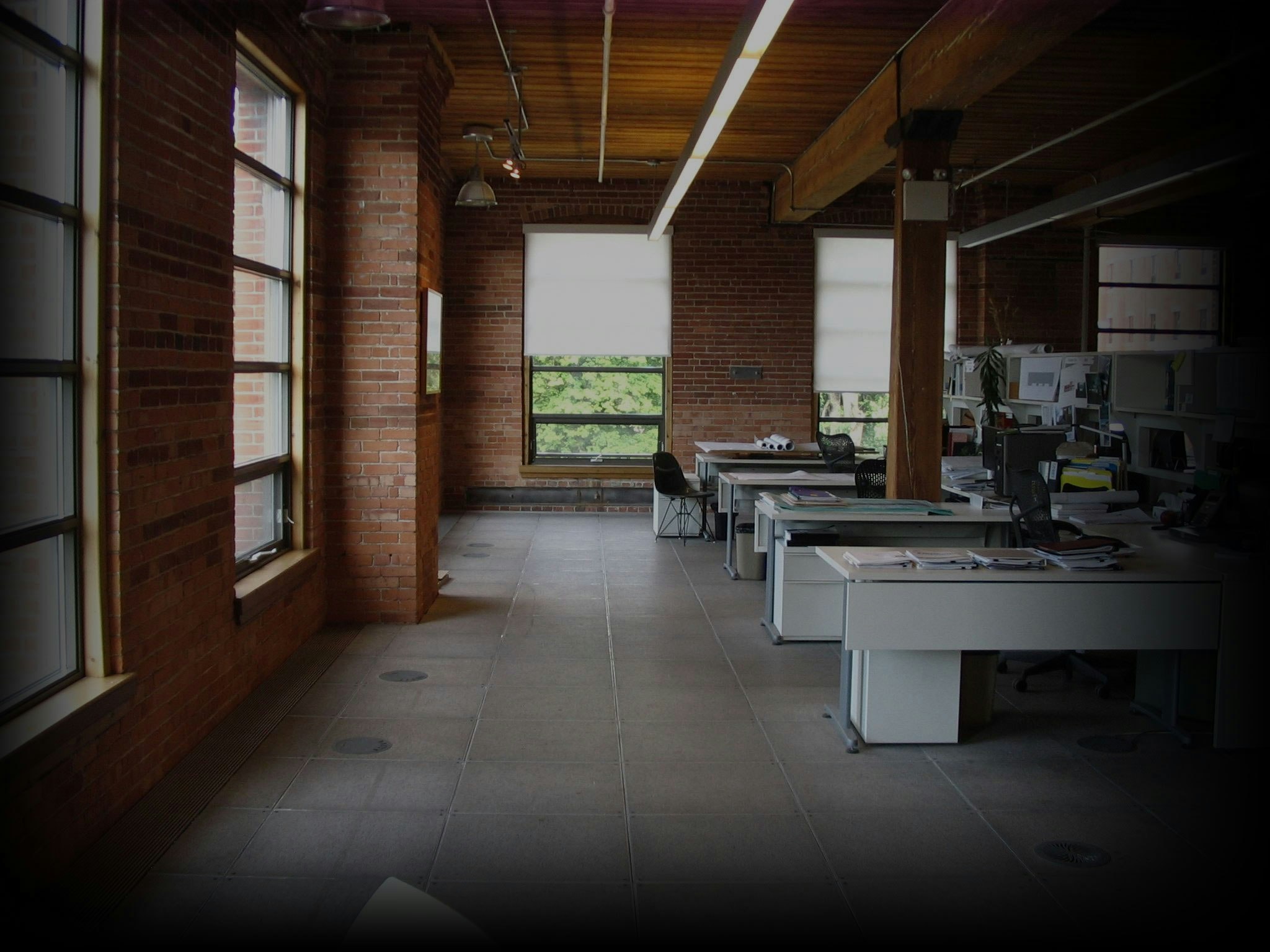 Xenapto gallery image