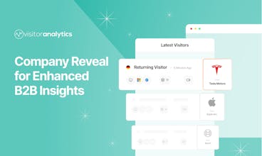 Company Reveal by Visitor Analytics gallery image