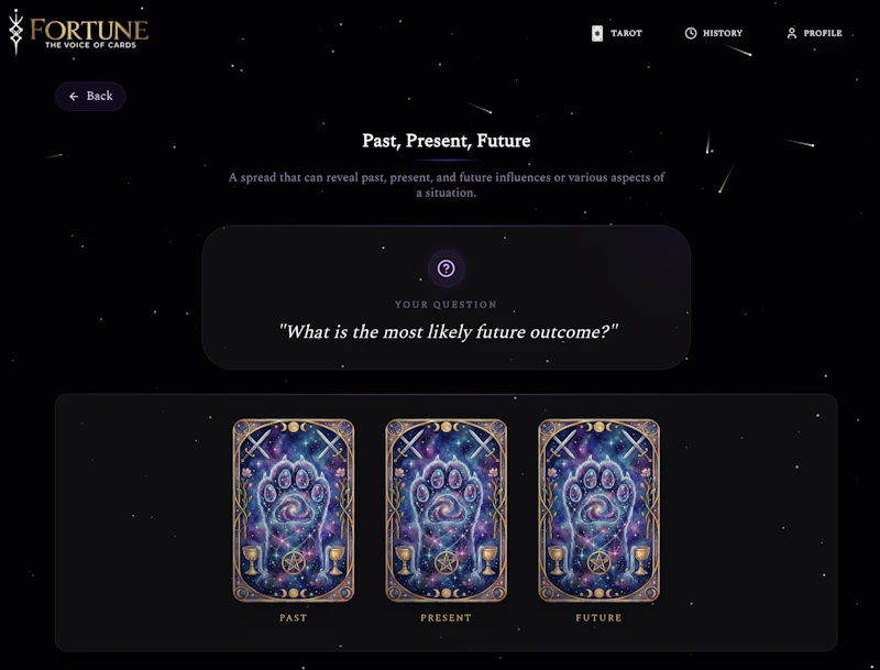 Fortune Cards screenshot 3