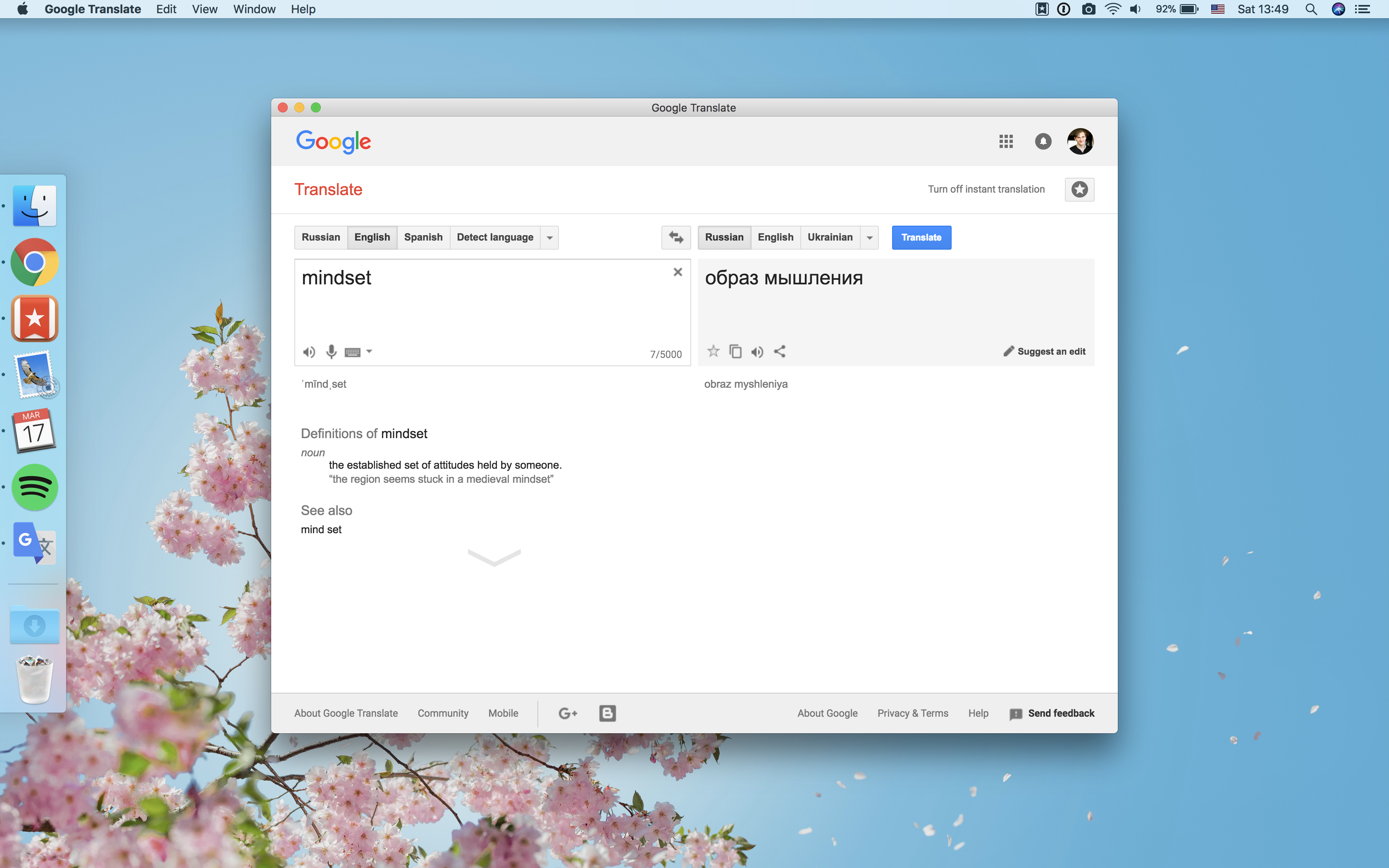 Google Translate Mac App gallery image