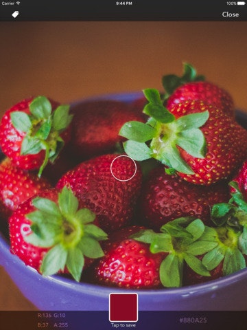 World of Color gallery image