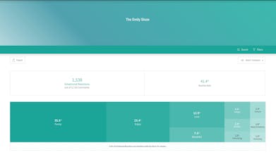 Canvs Surveys gallery image