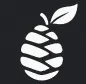 Safepine LLC