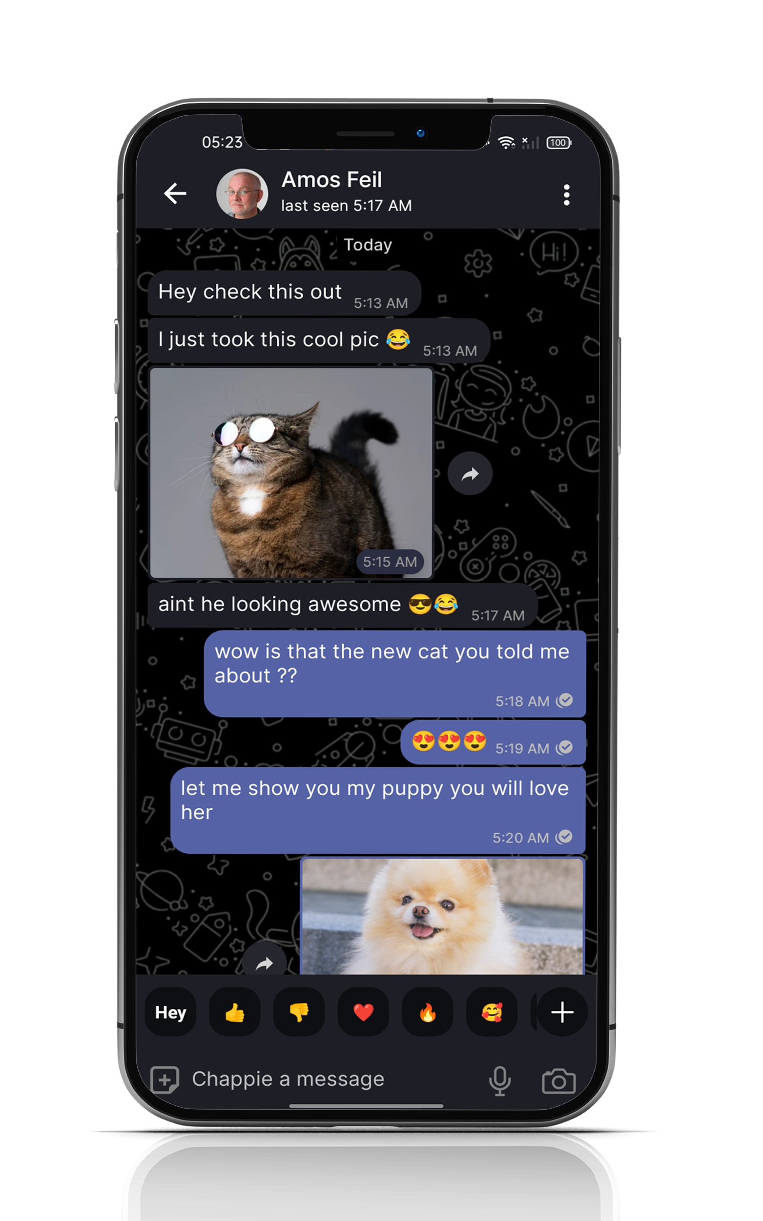 Chappie Beta: um tudo em uma ferramenta social. media 2